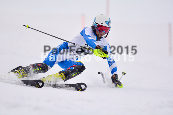 8. BZB Cup Werdenfelser Meisterschaft 2015 SL