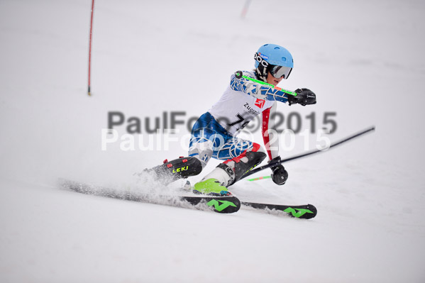 8. BZB Cup Werdenfelser Meisterschaft 2015 SL