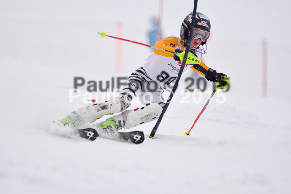 8. BZB Cup Werdenfelser Meisterschaft 2015 SL
