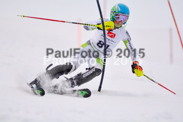 8. BZB Cup Werdenfelser Meisterschaft 2015 SL