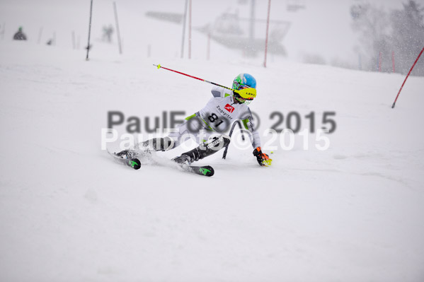 8. BZB Cup Werdenfelser Meisterschaft 2015 SL