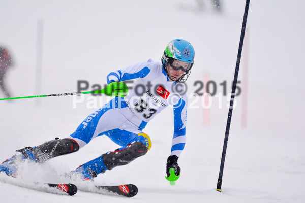 8. BZB Cup Werdenfelser Meisterschaft 2015 SL