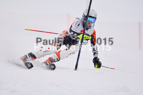 8. BZB Cup Werdenfelser Meisterschaft 2015 SL