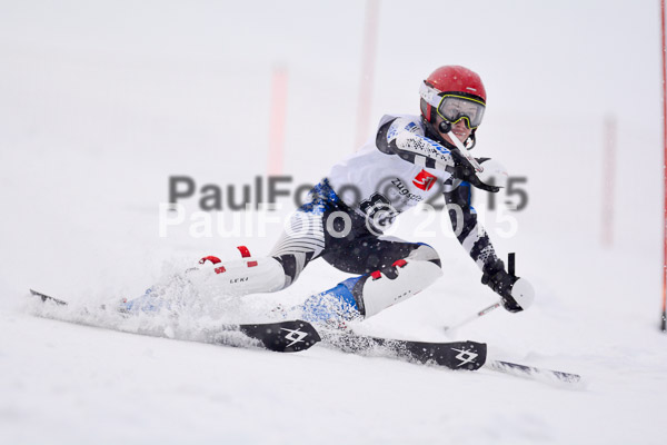 8. BZB Cup Werdenfelser Meisterschaft 2015 SL