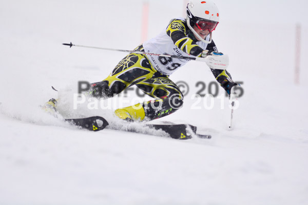 8. BZB Cup Werdenfelser Meisterschaft 2015 SL