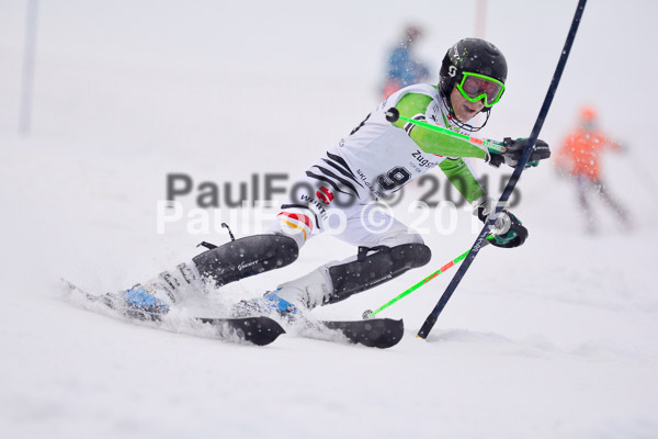 8. BZB Cup Werdenfelser Meisterschaft 2015 SL