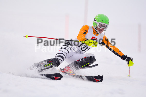 8. BZB Cup Werdenfelser Meisterschaft 2015 SL