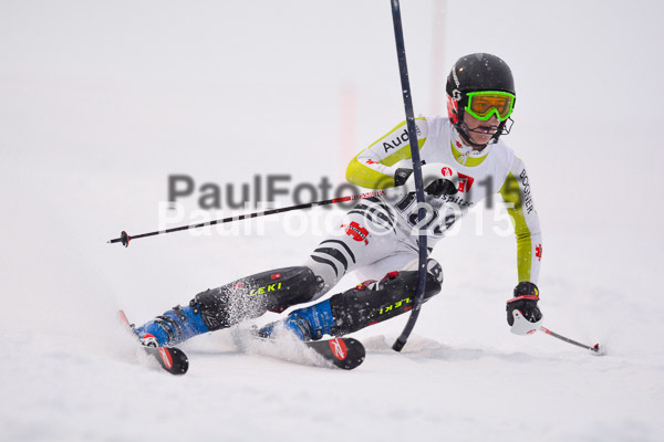8. BZB Cup Werdenfelser Meisterschaft 2015 SL