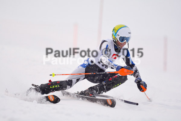 8. BZB Cup Werdenfelser Meisterschaft 2015 SL
