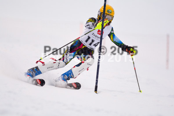 8. BZB Cup Werdenfelser Meisterschaft 2015 SL