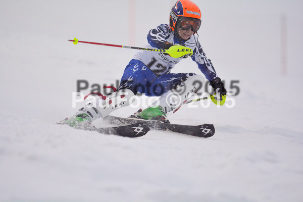 8. BZB Cup Werdenfelser Meisterschaft 2015 SL