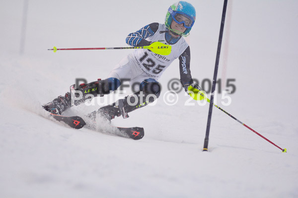 8. BZB Cup Werdenfelser Meisterschaft 2015 SL