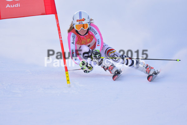 FIS-CIT RS + Bay. Jugendms 2015