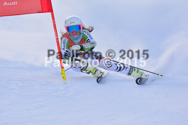 FIS-CIT RS + Bay. Jugendms 2015