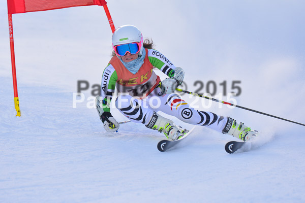 FIS-CIT RS + Bay. Jugendms 2015