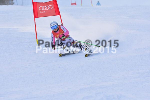 FIS-CIT RS + Bay. Jugendms 2015