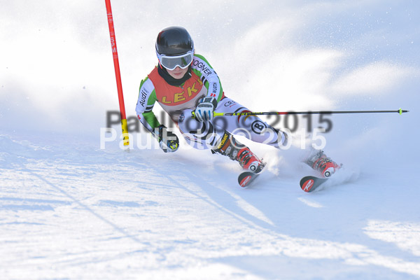 FIS-CIT RS + Bay. Jugendms 2015