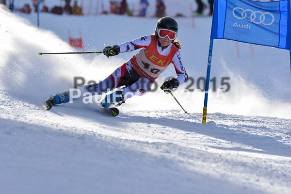 FIS-CIT RS + Bay. Jugendms 2015