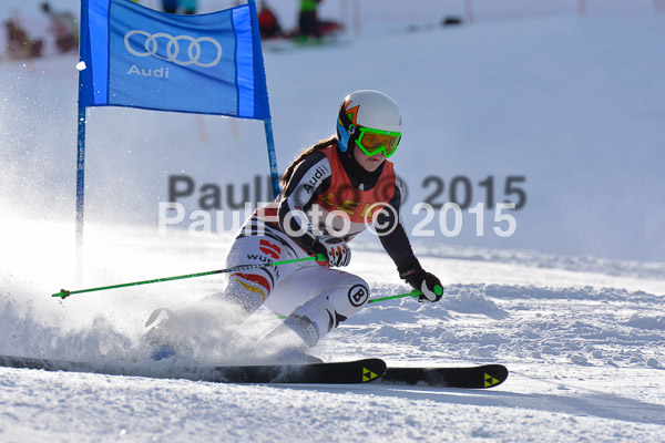 FIS-CIT RS + Bay. Jugendms 2015