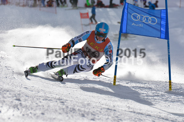 FIS-CIT RS + Bay. Jugendms 2015