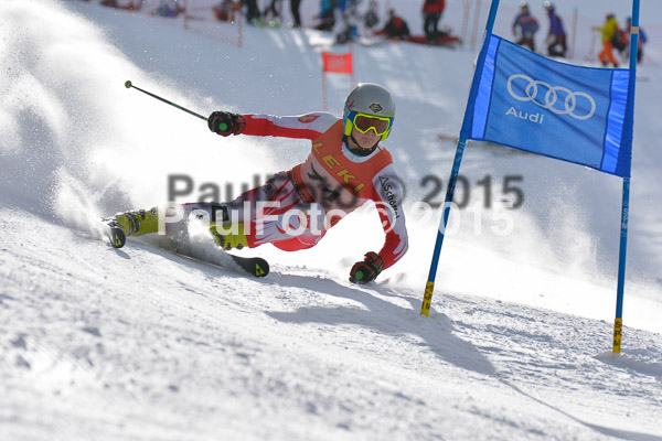 FIS-CIT RS + Bay. Jugendms 2015