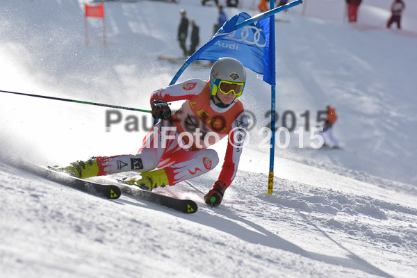FIS-CIT RS + Bay. Jugendms 2015