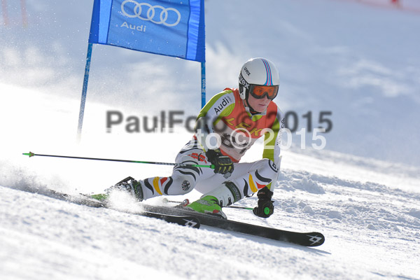 FIS-CIT RS + Bay. Jugendms 2015