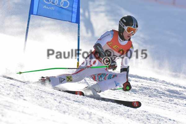 FIS-CIT RS + Bay. Jugendms 2015