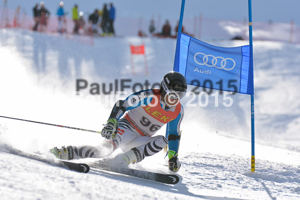FIS-CIT RS + Bay. Jugendms 2015