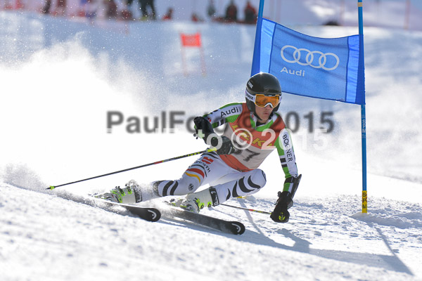 FIS-CIT RS + Bay. Jugendms 2015