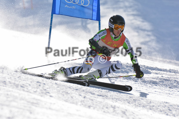 FIS-CIT RS + Bay. Jugendms 2015