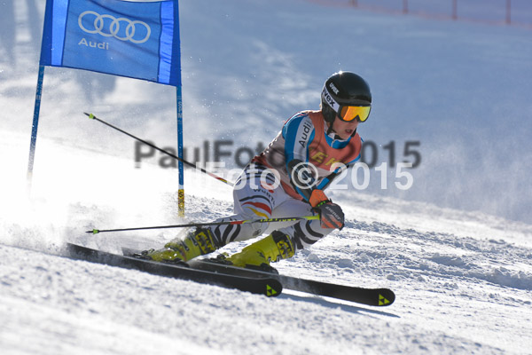 FIS-CIT RS + Bay. Jugendms 2015