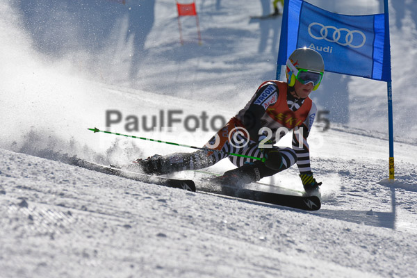 FIS-CIT RS + Bay. Jugendms 2015