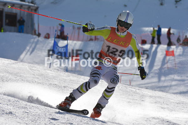FIS-CIT RS + Bay. Jugendms 2015