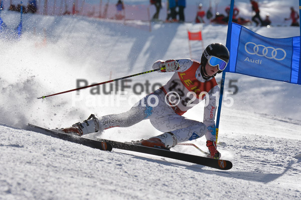 FIS-CIT RS + Bay. Jugendms 2015
