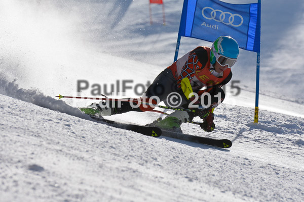FIS-CIT RS + Bay. Jugendms 2015