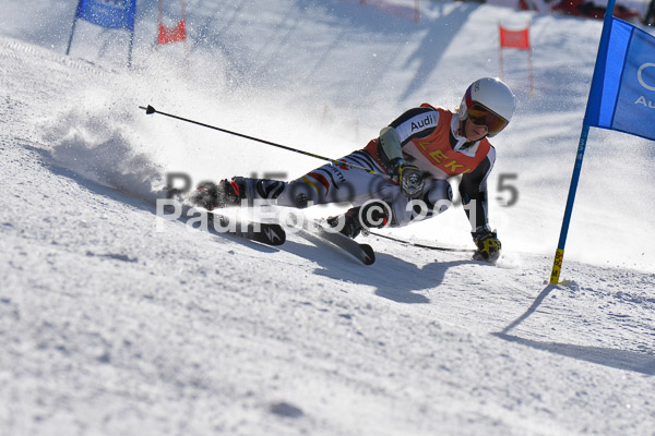 FIS-CIT RS + Bay. Jugendms 2015