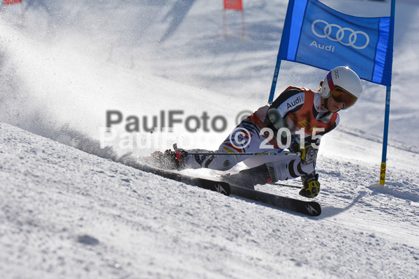 FIS-CIT RS + Bay. Jugendms 2015
