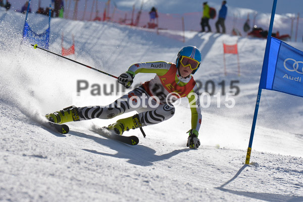FIS-CIT RS + Bay. Jugendms 2015