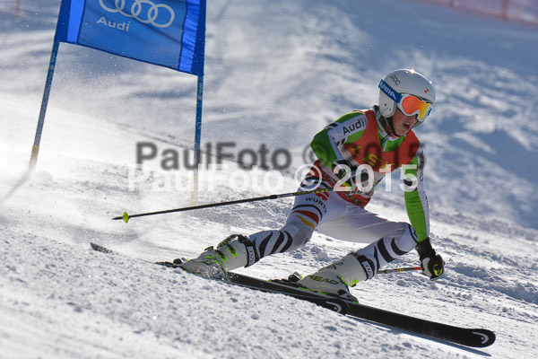 FIS-CIT RS + Bay. Jugendms 2015
