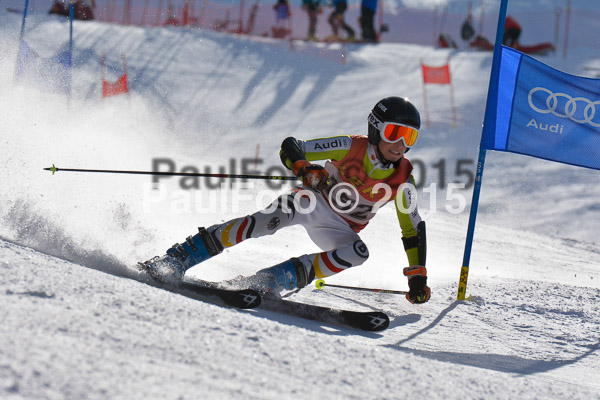 FIS-CIT RS + Bay. Jugendms 2015
