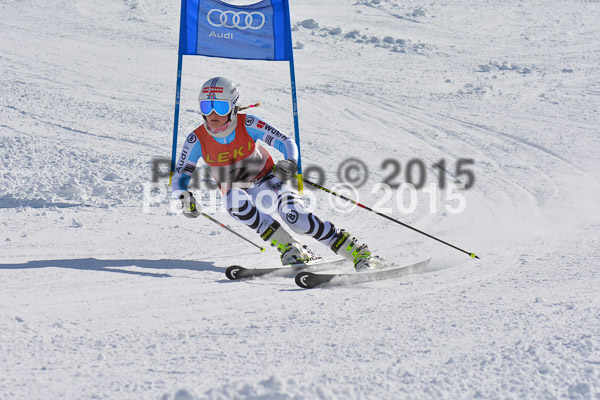 FIS-CIT RS + Bay. Jugendms 2015