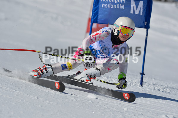 Sechzger Pokal RS 2015