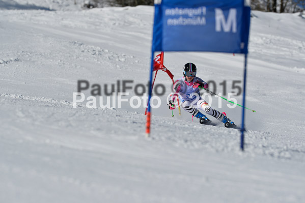 Sechzger Pokal RS 2015