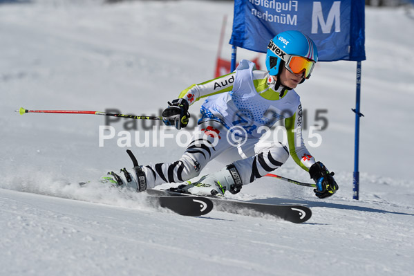 Sechzger Pokal RS 2015