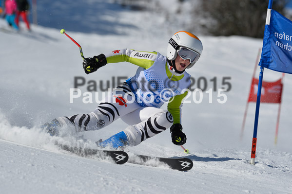 Sechzger Pokal RS 2015
