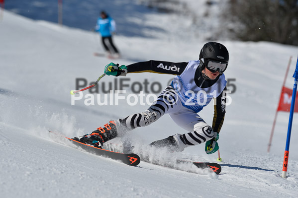 Sechzger Pokal RS 2015