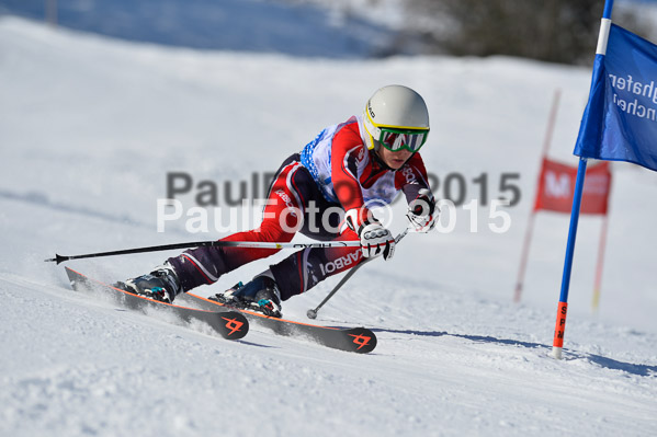 Sechzger Pokal RS 2015