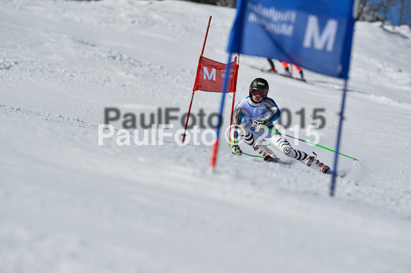 Sechzger Pokal RS 2015