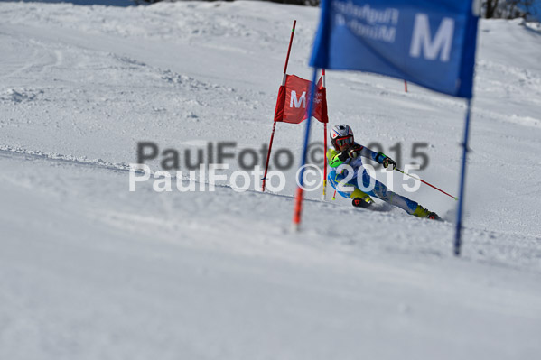 Sechzger Pokal RS 2015